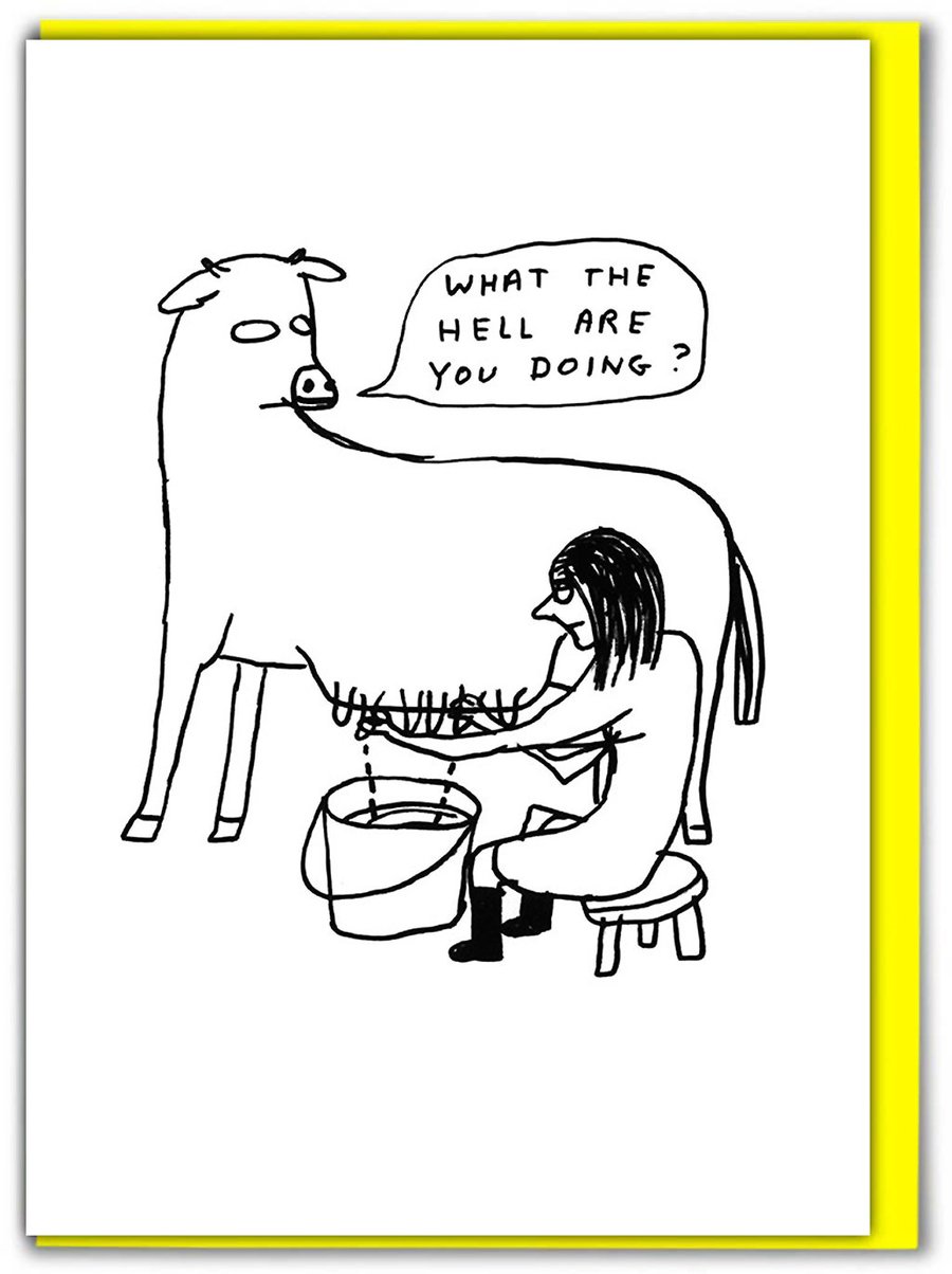 Funny Birthday Card, Cheeky Cards - What The Hell Are You Doing (SHRIGLEY004)