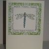  Emperor Dragonfly