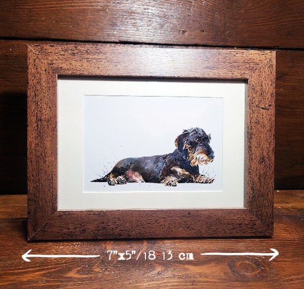 Wirehaired Dachshund" Watercolour Miniature Framed Print,(7"5"1813cm)Wirehaired 