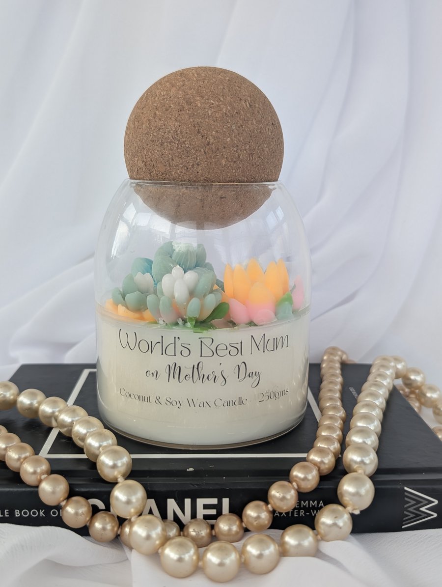 Succulent Candle in Storage Jar, Mother's Day Gift, Unique Candle Gift for Her