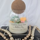 Succulent Candle in Storage Jar, Mother's Day Gift, Unique Candle Gift for Her