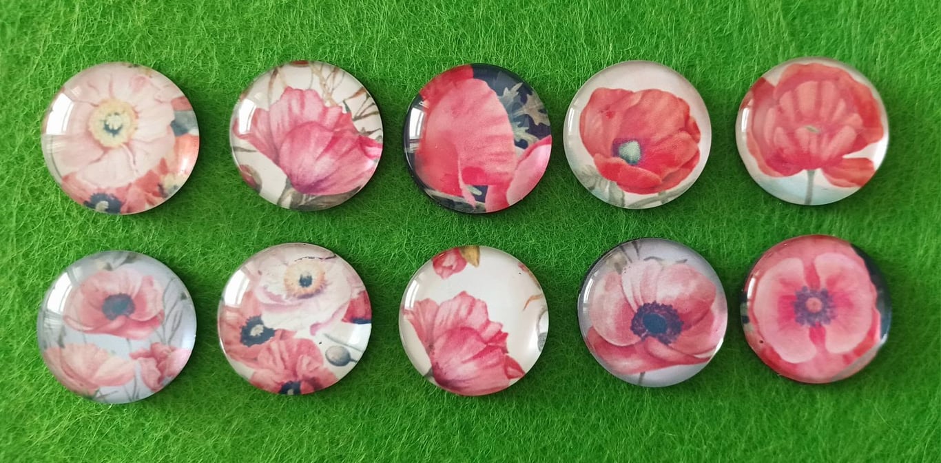 Poppy Fridge Magnets