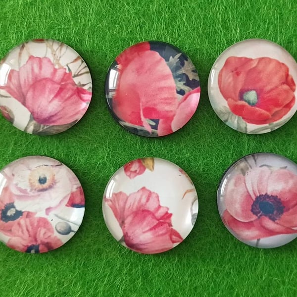 Poppy Fridge Magnets
