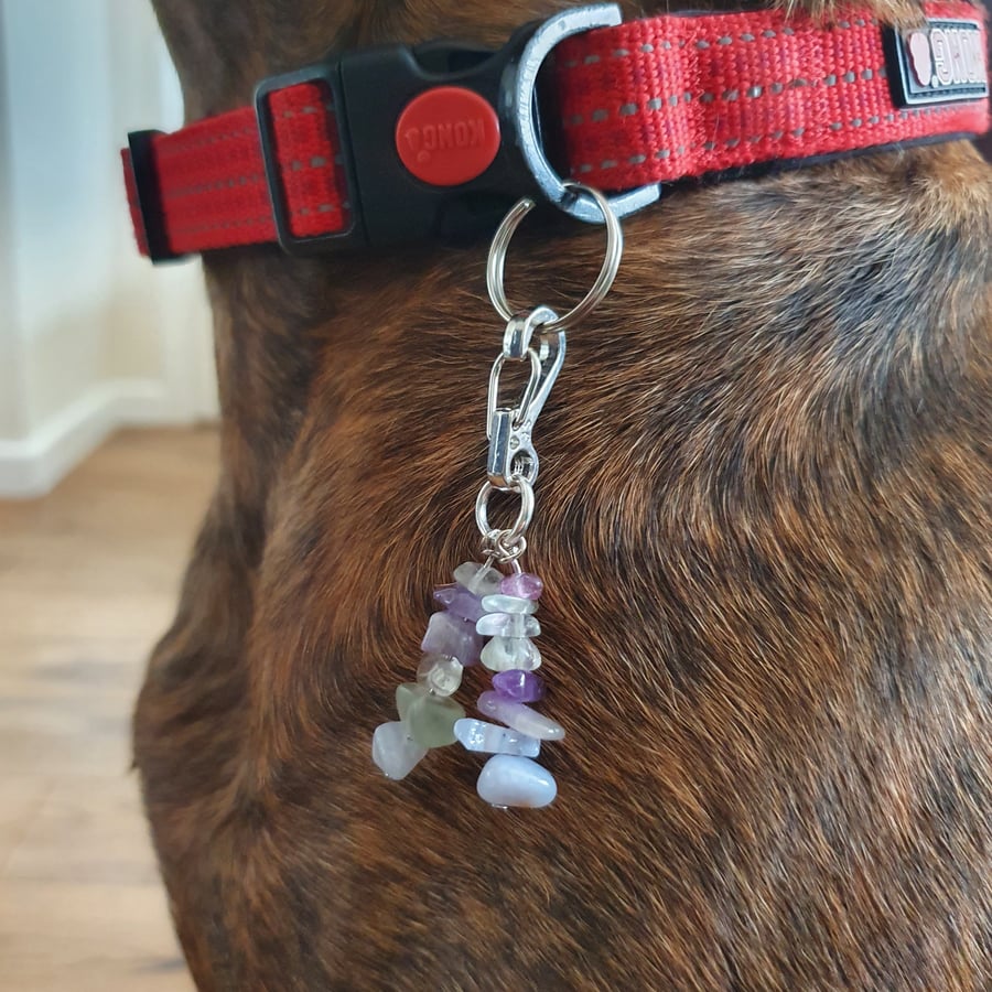 Dog collar charm to help bones and joints