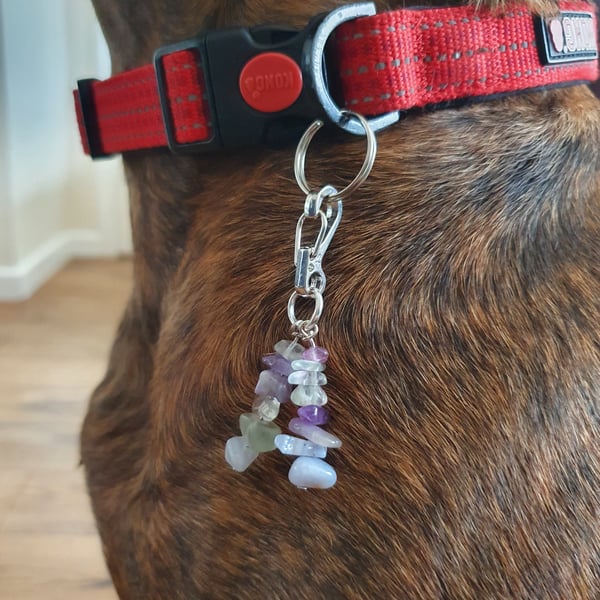Dog collar charm to help bones and joints