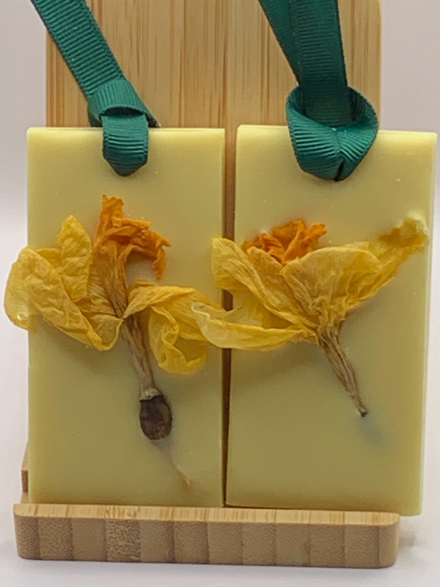 2  Wax Tablets, Wardrobe Freshner Scented with Lemon Essential Oil