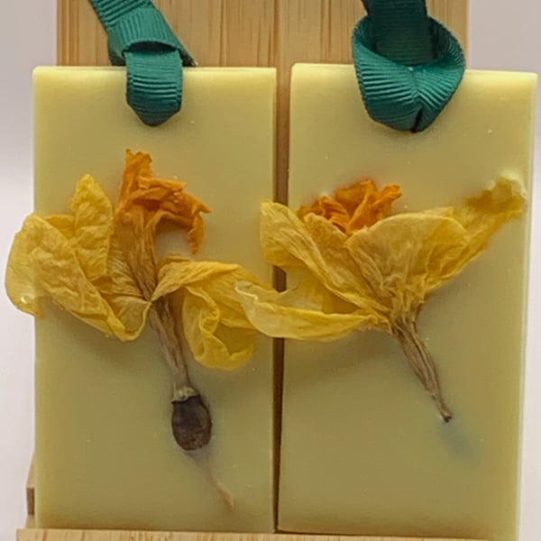 2  Wax Tablets, Wardrobe Freshner Scented with Lemon Essential Oil