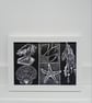 Coastal Lino print Beach finds shells pebbles starfish - Image 2