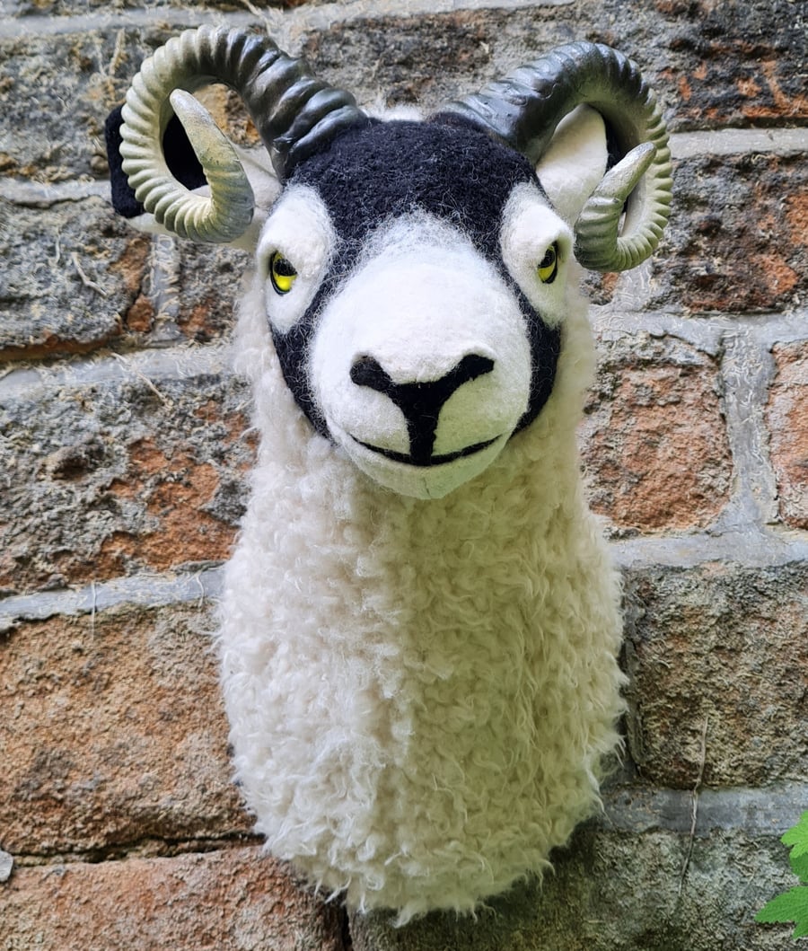 Faux Swaledale sheep head - Ilkley the sheep