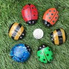 Hand Painted Pebbles Stones Rainbow Ladybirds Bumble Bees Set of 6