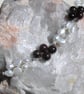 White Freshwater Pearl & Red Garnet Gemstone Bracelet "Regal Sundae" - Image 6