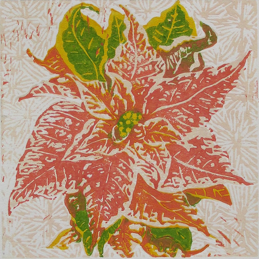 Poinsettia Christmas Flower - Original Hand Pressed Linocut Print Ltd Edition
