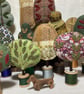Pair of wonderful trees No25 - Image 5