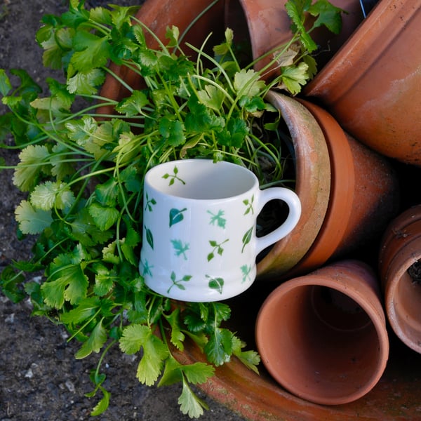 Garden Herbs Little Mug - seconds sunday