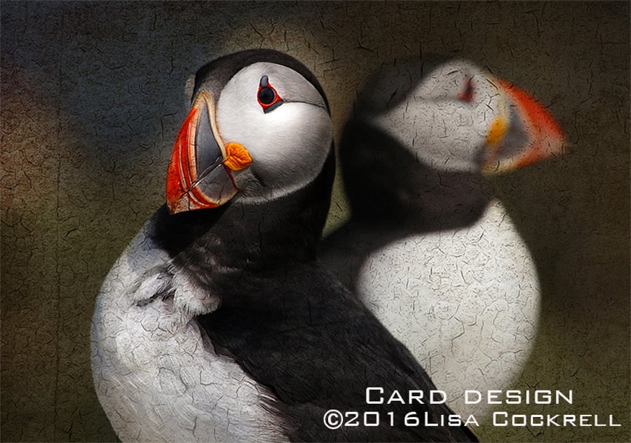 Exclusive Puffin Doubles Greetings Card
