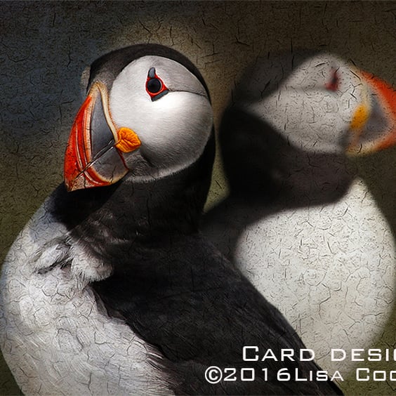 Exclusive Puffin Doubles Greetings Card