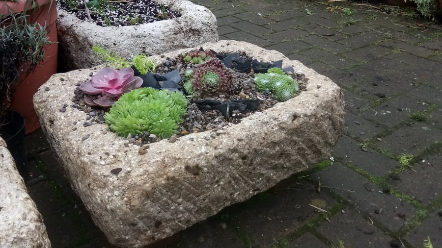 Planter trough for Alpines, hand-carved  from eco-friendly hypertufa