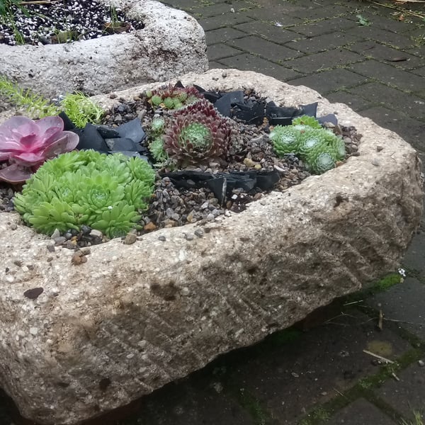 Planter trough for Alpines, hand-carved  from eco-friendly hypertufa