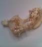Peaches and Cream Freshwater Pearl Jewellery Set, Pearl Jewellery, Gift for Her - Image 3