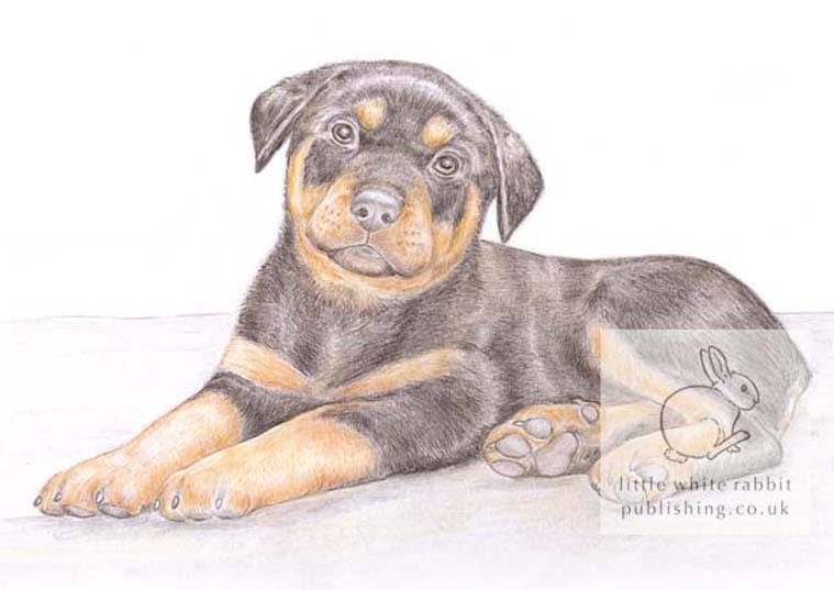 Clyde the Rottweiler - Blank Card