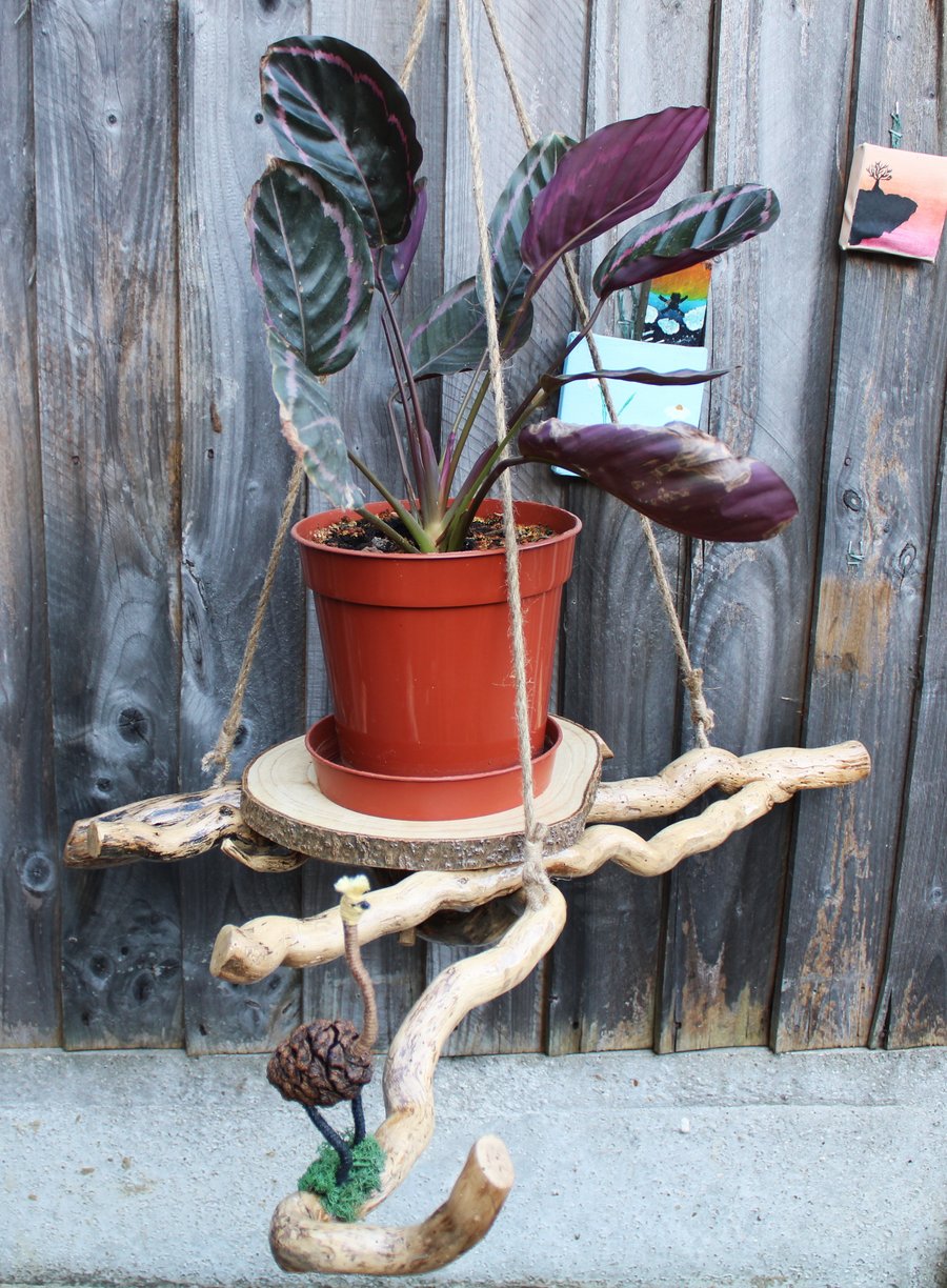 Hanging Plant Basket, Hanging Planter, Plant Basket, Flower Basket, Air Plant Ha