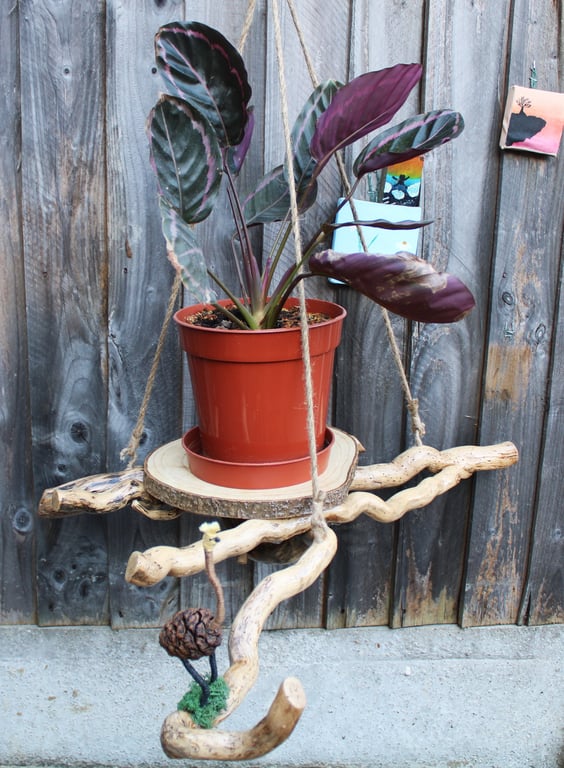 Hanging Plant Basket, Hanging Planter, Plant Basket, Flower Basket, Air Plant Ha