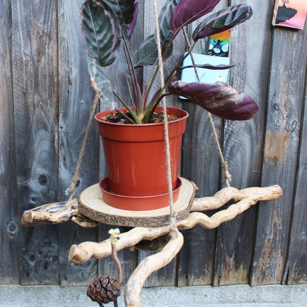 Hanging Plant Basket, Hanging Planter, Plant Basket, Flower Basket, Air Plant Ha