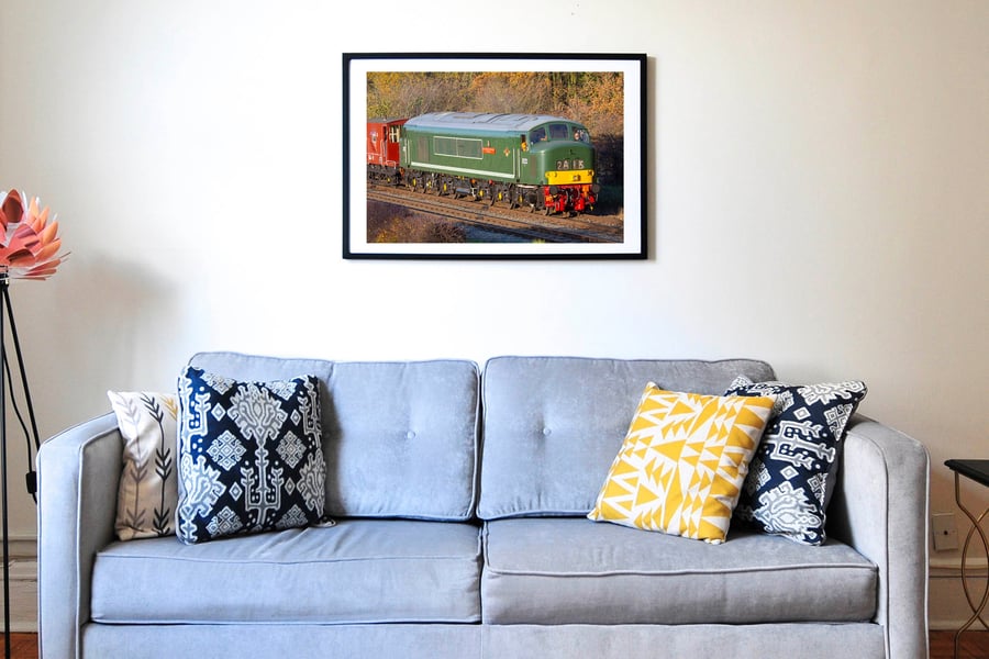 Class 45 Peak D123 Leicestershire & Derbyshire Yeomanry diesel locomotive