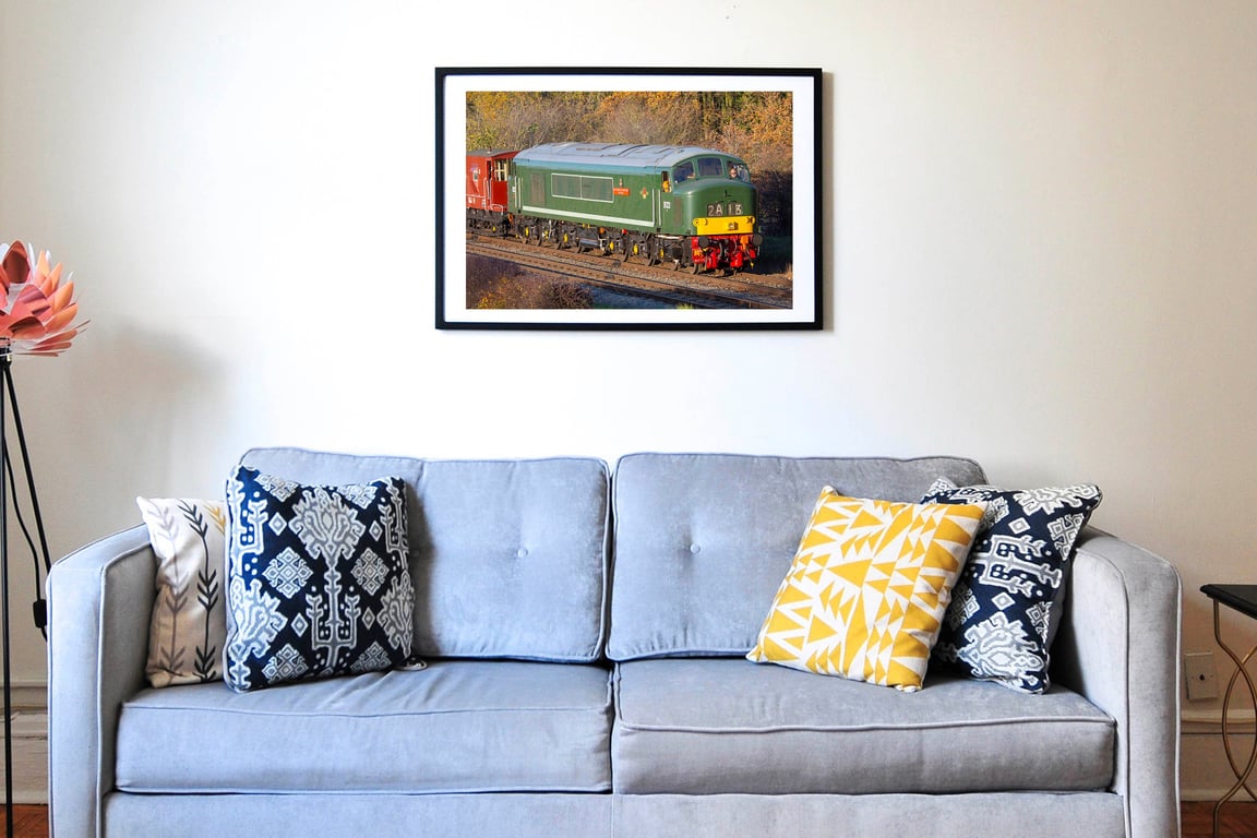 Class 45 Peak D123 Leicestershire & Derbyshire Yeomanry diesel locomotive