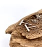 Little Bar Studs - Image 3