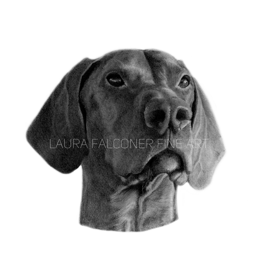 Hungarian Vizsla Fine Art Giclee Mounted Print