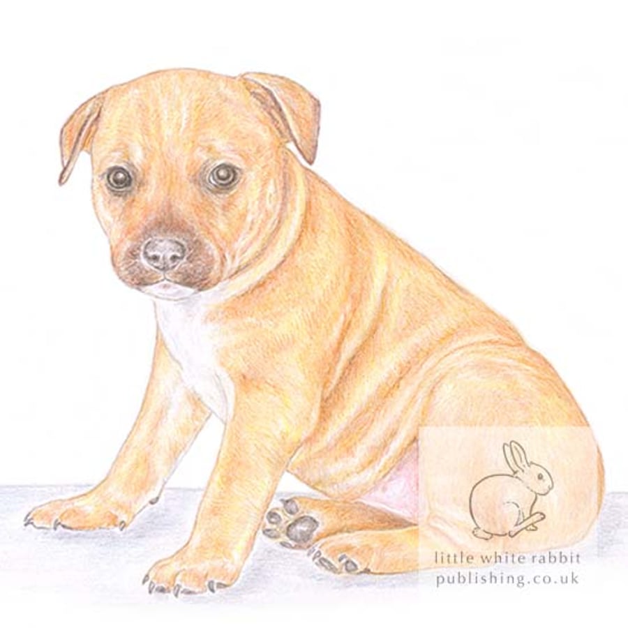 Cookie the Staffy - Blank Card