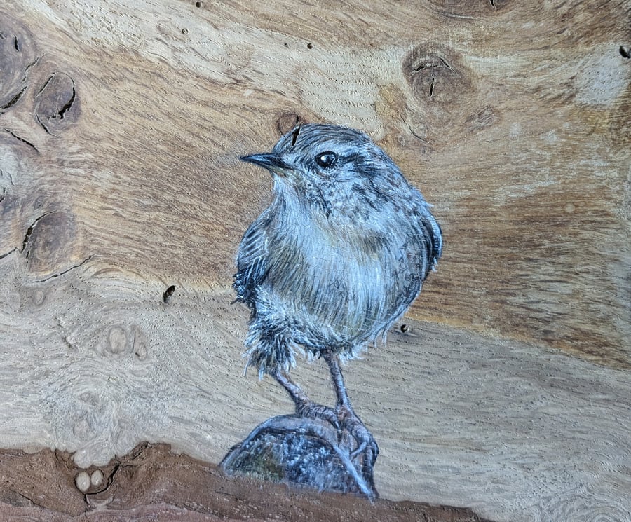 Original Wren Painting on Reclaimed and Repurposed Wood