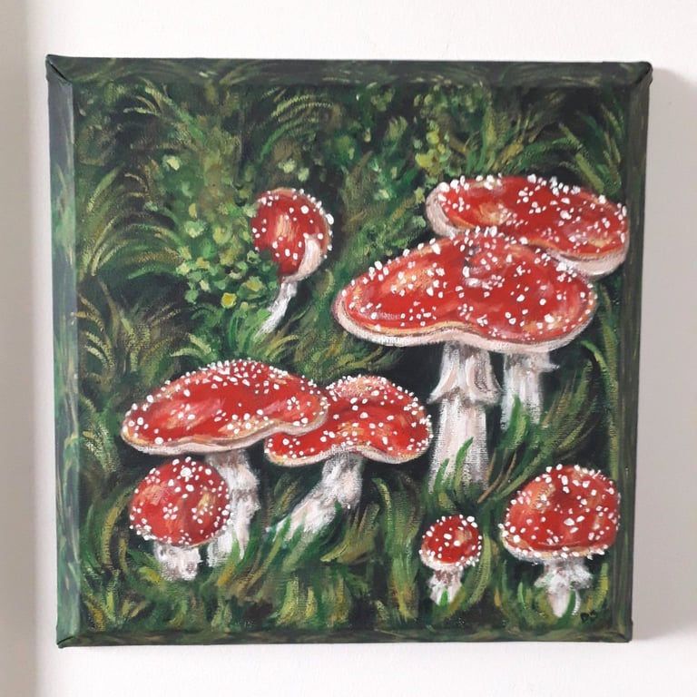 Fly Agaric Fungi Original painting on a bevelled box edge canvass.  