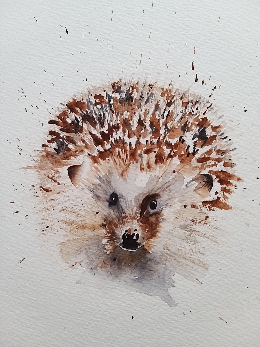 Hedgehog - A4 giclee print - watercolour