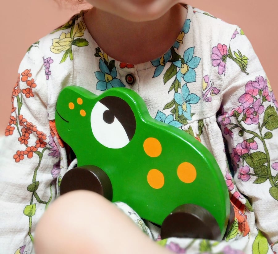 Pull Along Wooden toy Frog. gift for boy or girl. newborn gift