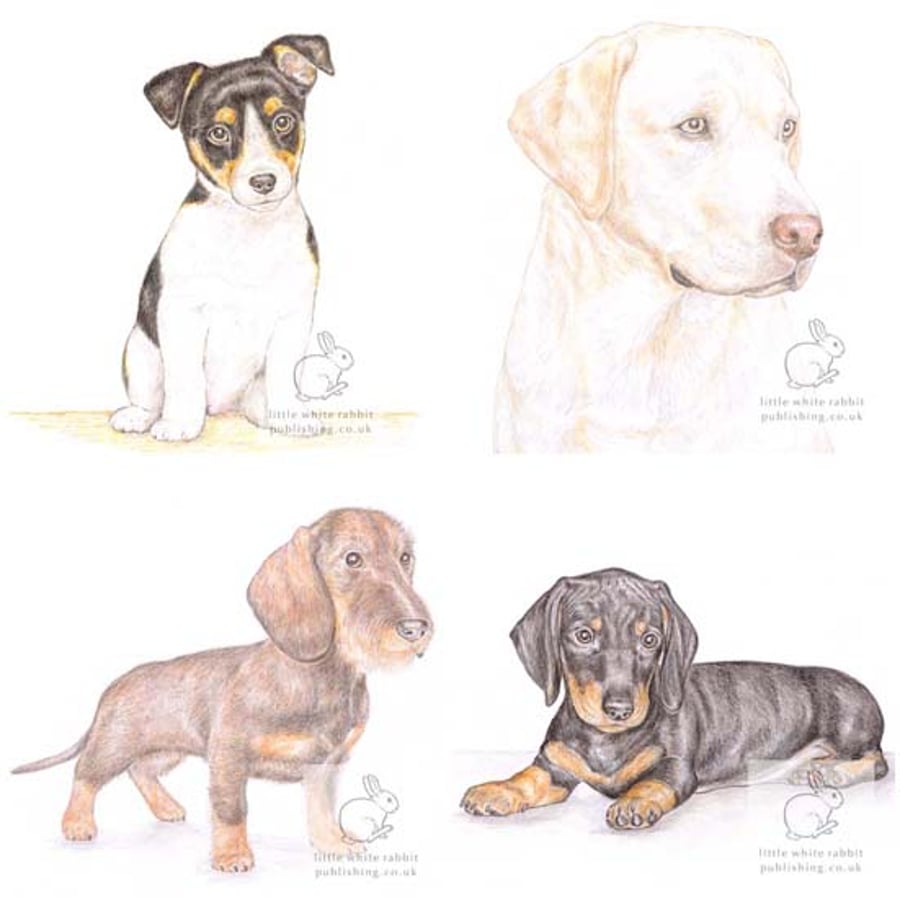 Dog Collection - Pack of 4 Acrylic Coasters