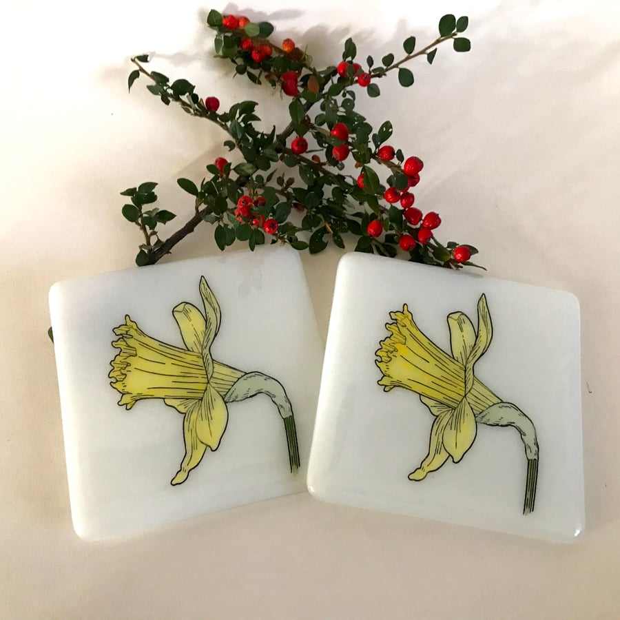 Daffodil Glass Coaster - Set of 2