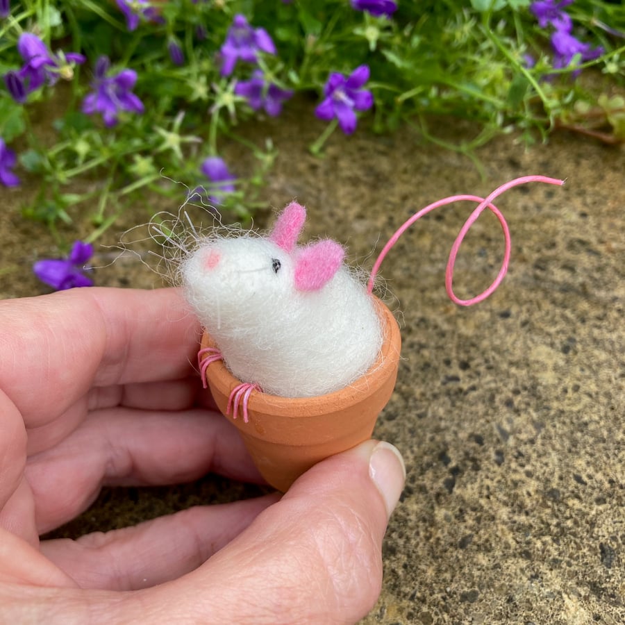 Cute mouse in pot, needle felted