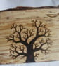 Tree on Spalted Silver Birch - Image 2