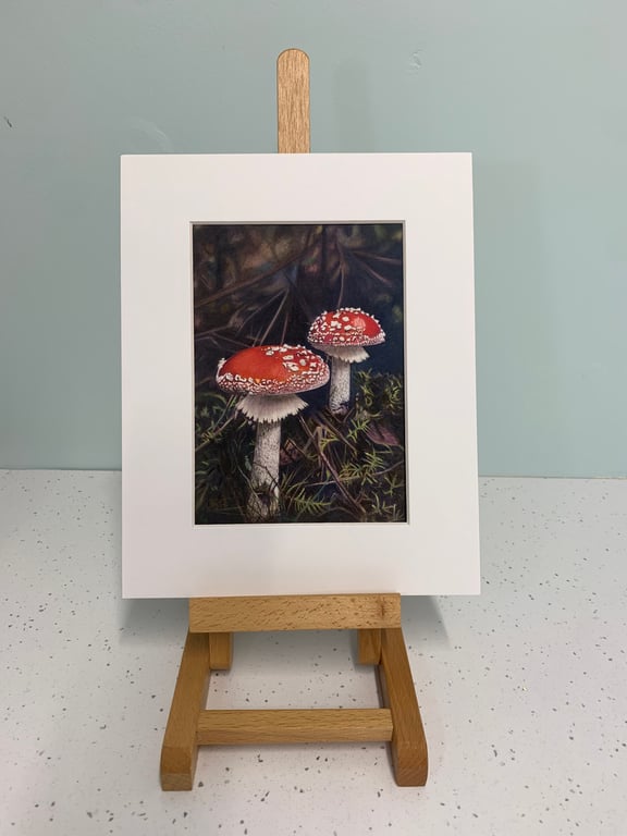 'Woodland Wonder'- 5x7 signed limited edition 