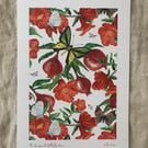 The Pomegranate Butterfly Dance A4 Eco-Friendly Art Print