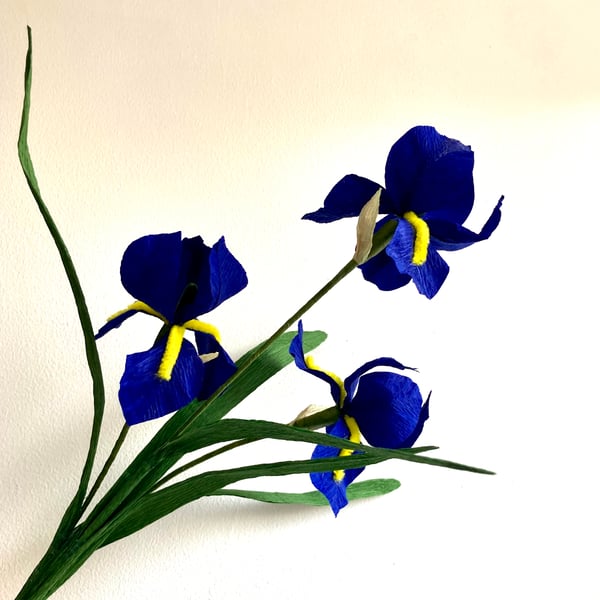 Blue Paper Irises