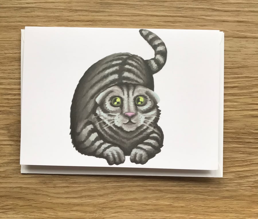 Scotish Fold Cat blank greeting card