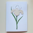 Beige-White Paper Iris - Flower Shop Moments, Blank Handmade Floral Card 