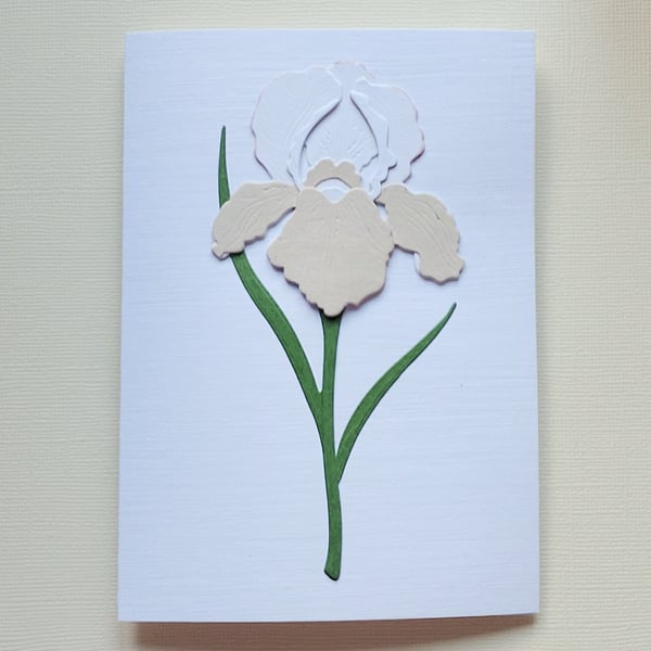 Beige-White Paper Iris - Flower Shop Moments, Blank Handmade Floral Card 