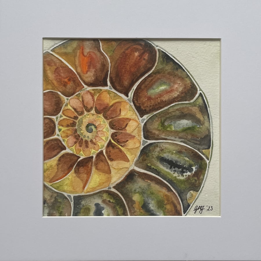 Orange Ammonite