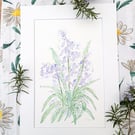 Bluebell handpainted original watercolour painting A4 mounted