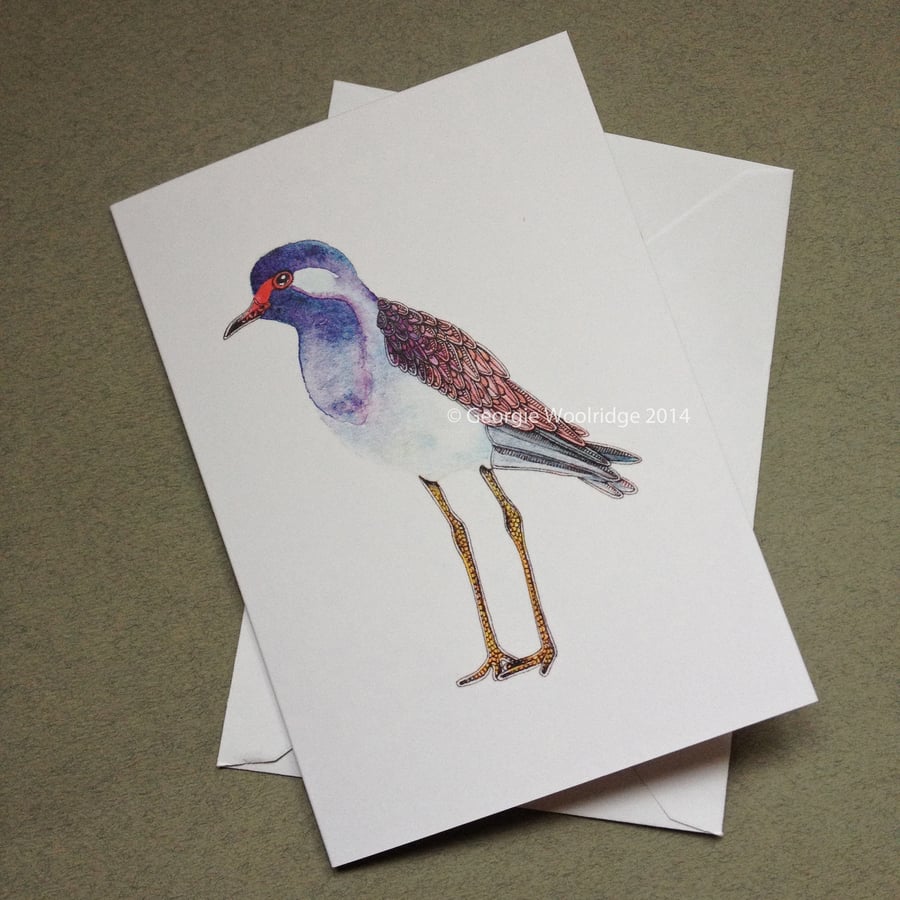 'Red-wattled lapwing' Blank printed card