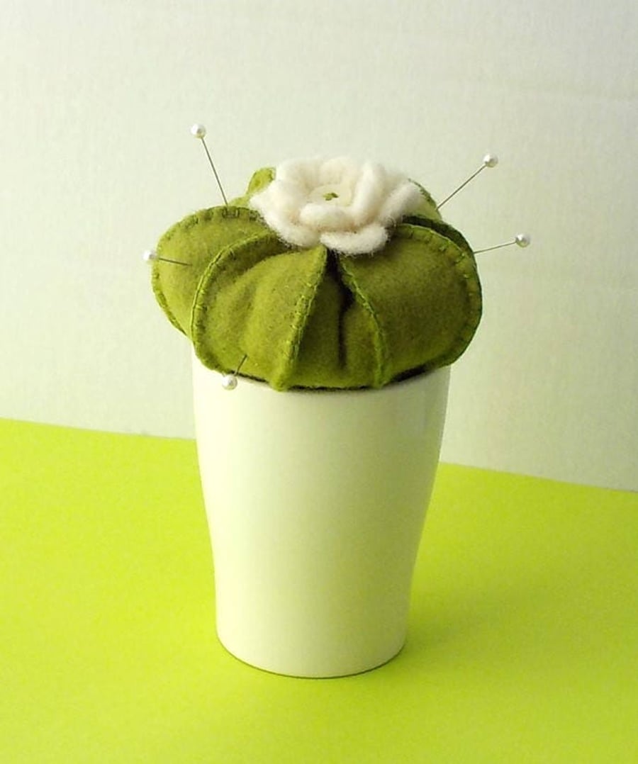 Cactus pincushion white flower on green pin cushion